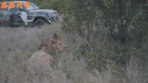 爆料路虎卫士视频播放,硬派越野再升级,性能与颜值并存 第1张 爆料路虎卫士视频播放,硬派越野再升级,性能与颜值并存 第1张